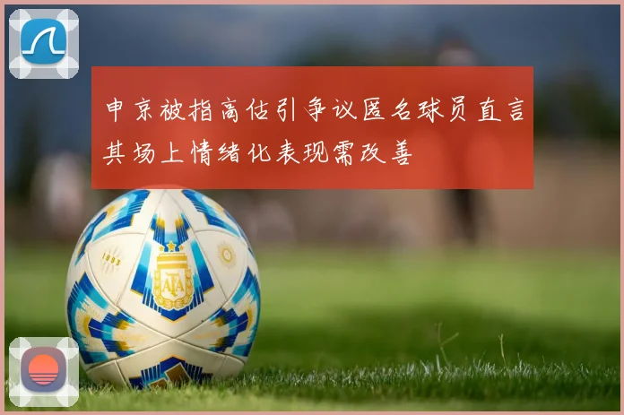 申京被指高估引争议匿名球员直言其场上情绪化表现需改善
